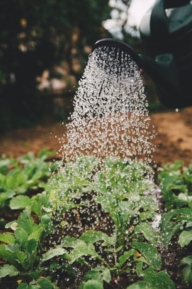 Our food system is broken